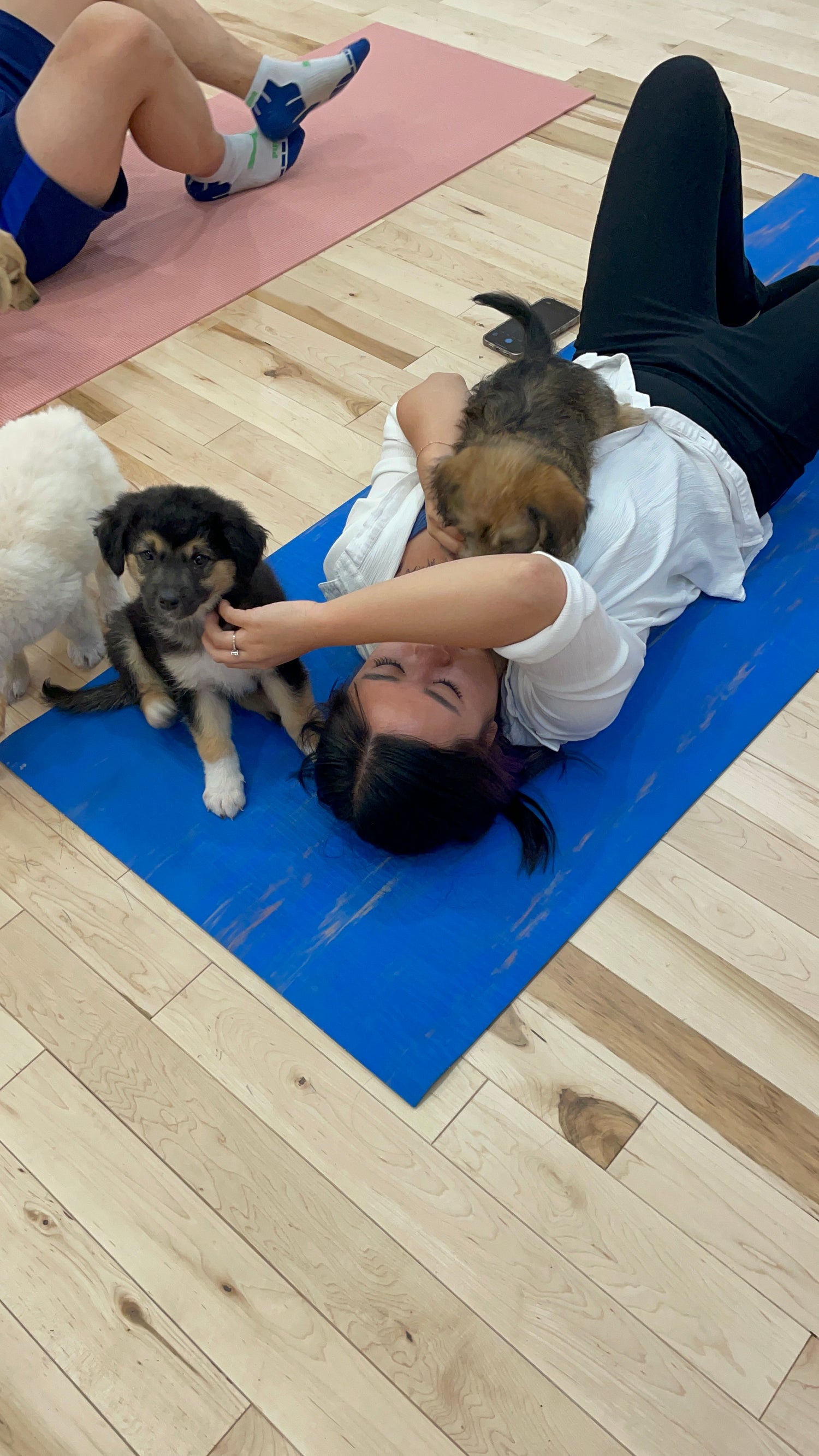 Puppy Yoga Calgary PuppyYoga Calgary